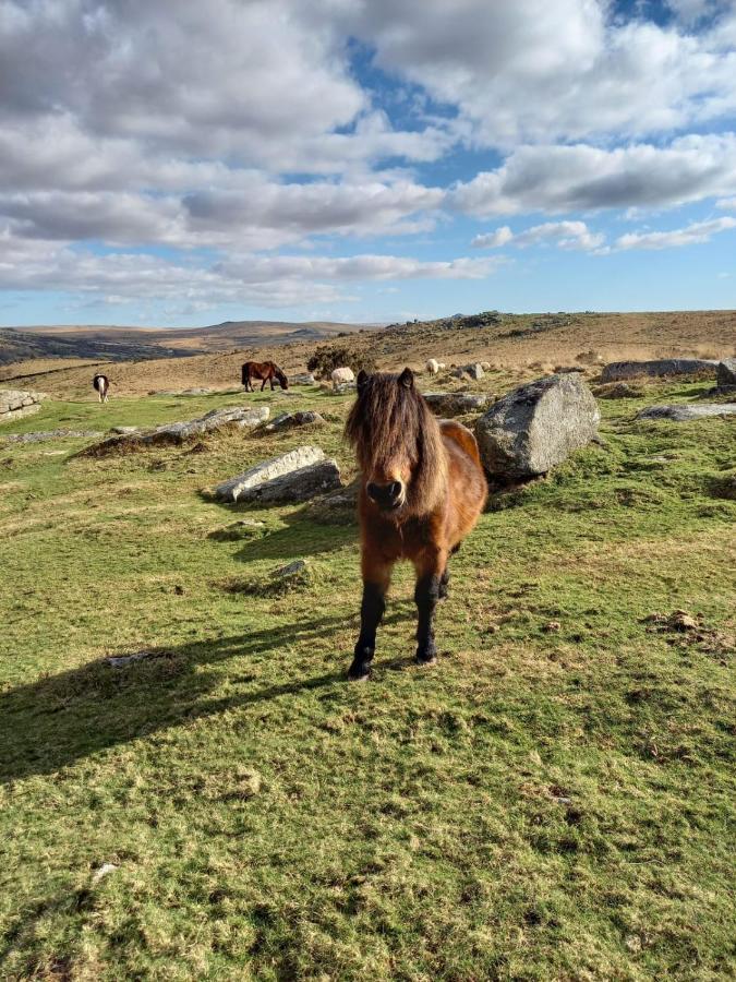 Dartmoor Inn Прінстаун Екстер'єр фото